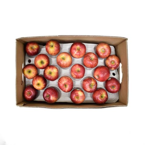 APPLE ROYAL GALA 18KG