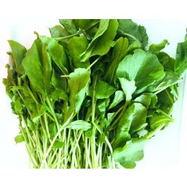 LETTUCE ROCKET 500GM Online | Waynik By Safco
