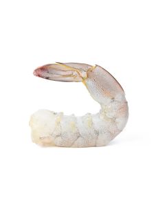 OCEANIC PEARL SHRIMPS  RAW CLEANED TAIL ON 21/25 
