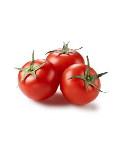 Tomato Regular 