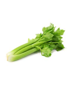 CELERY 500GM