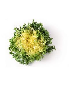 LETTUCE FRISEE YELLOW 1KG