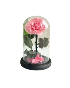 PINK FOREVER ROSE