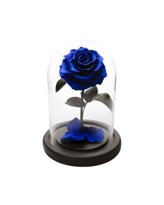 BLUE FOREVER ROSE