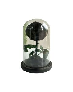 BLACK FOREVER ROSES