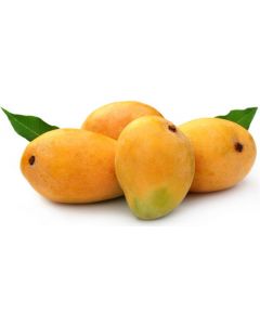 MANGO ALPHONSO 1KG
