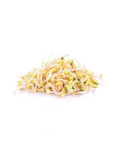 BEANS SPROUT 500GM 