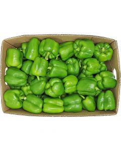 CAPSICUM GREEN 7KG