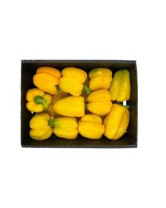 CAPSICUM YELLOW FRESH 4KG