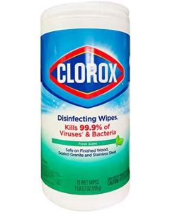 Clorox Wipes Can Fresh Scent 75 count