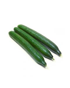 CUCUMBER LONG 1KG