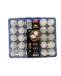 AL BUSTAN WHITE EGGS LARGE 12X30PCS