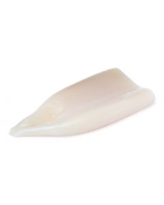 OCEANIC PEARL SQUID TUBE U/5 1KG