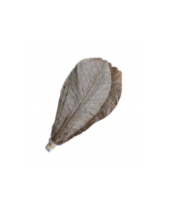 ISHIN DRIED HOBA LEAVES 120GM(20PCS)