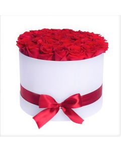 RED ROSES IN ROUND SMALL BOX 12 PCS