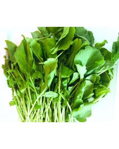 LETTUCE ROCKET 500GM