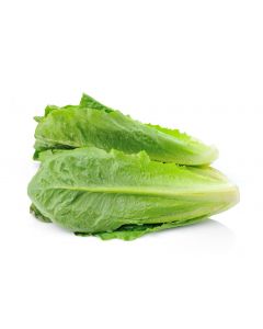 LETTUCE COS 500GM