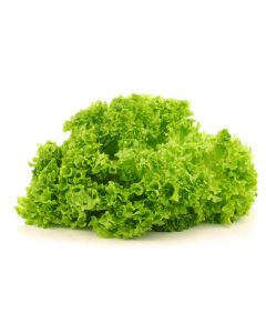 LETTUCE LOLLO ROSSO GREEN 500GM