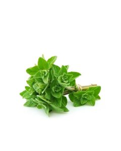 OREGANO FRESH 100GM