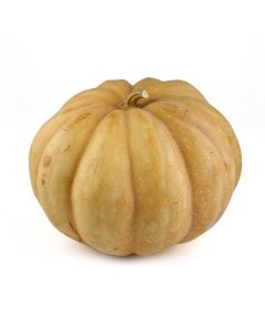 WHOLE PUMPKIN APPROX 8 TO 9KG