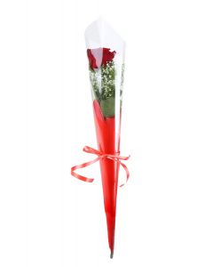 SINGLE RED ROSE WRAPPED