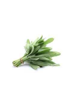 FRESH SAGE 100GM