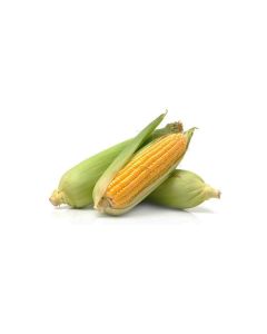 SWEET CORN LOCAL 6KG