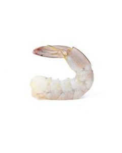 OCEANIC PEARL SHRIMPS RAW PD TAIL ON 16-20PC 10X1KG