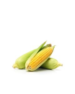 SWEET CORN LOCAL 1KG