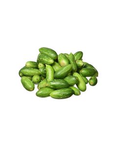 TENDLY 500 GM