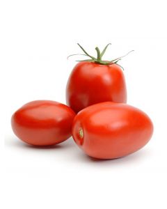 TOMATO PLUM 500GM