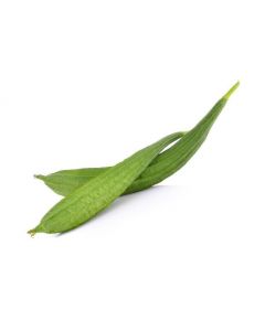 TURI INDIA ( RIDGE GOURD ) 500GM