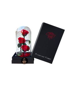 TRI INFINITY RED ROSE BUBBLE JAR WITH BOX