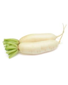 RADISH WHITE 1KG